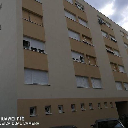 Apartment Mihaela Zadar Exterior photo